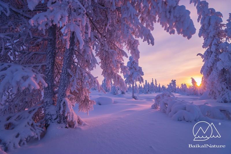 13738253_10154307831900979_1748198602483374821_o