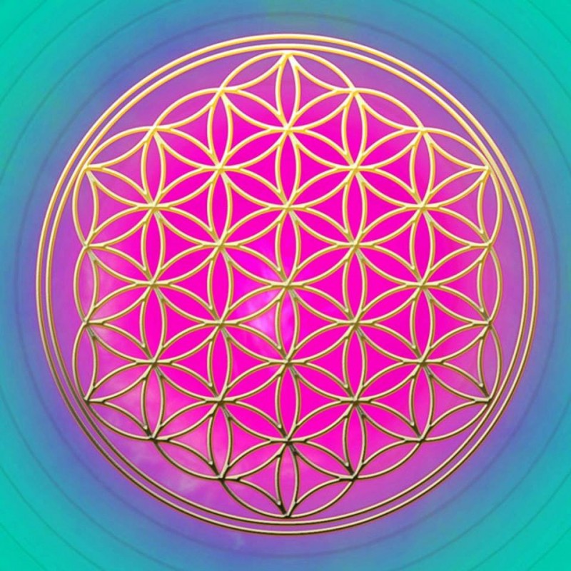 19756358_1387460937976036_7009506301399625498_n