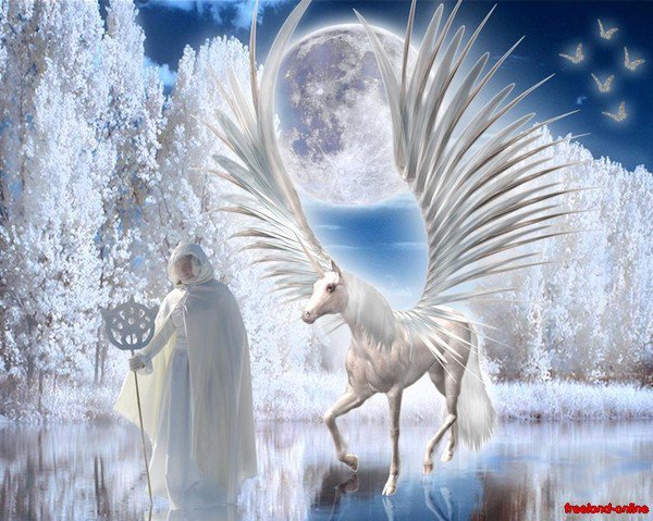 13308_118385858195566_100000724587117_152064_6491347_n-2