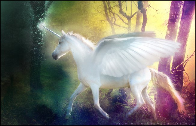 14097_107684155932403_100000724587117_106608_4535794_n-2