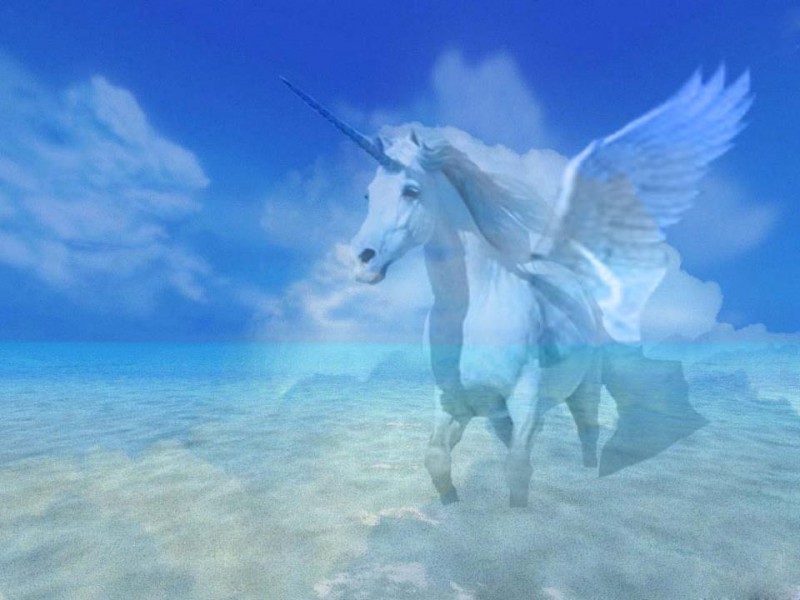 17715_155923927897469_1486780299_n-2