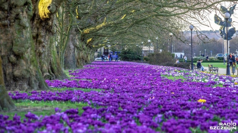 2016-03-27_145909397310