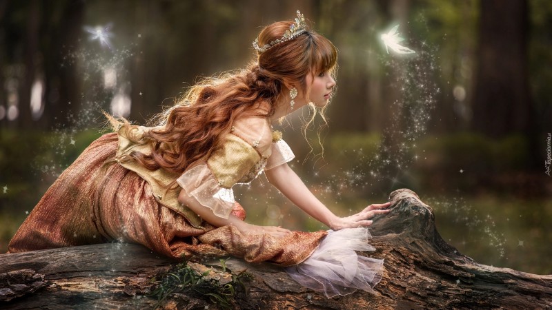 206203_las_dziewczyna_ksiezniczka_elf