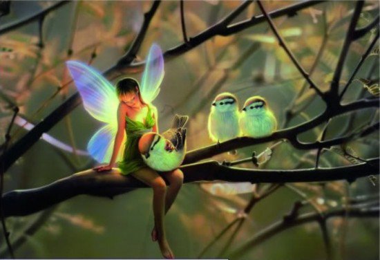 285398_241026732596405_3459612_n