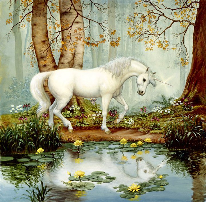 34969_134889399878545_100000724587117_229958_4828038_n-2