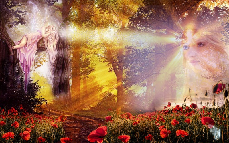 ___463849_229564323808207_376745645_o-2