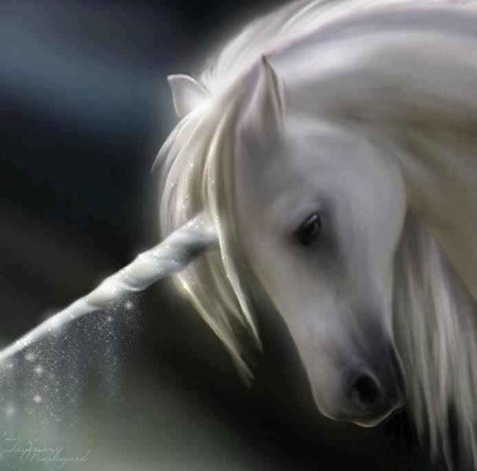 64536_513458385355128_1460699_n-2