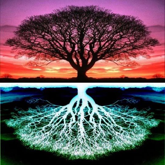 tree-color