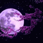 gif-moon-flowers