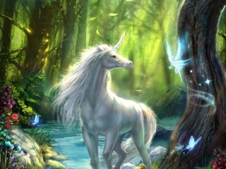 34090322_2040000186259618_1680594615293444096_n