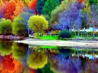 002e790ea819454c3b0fd35520b77989