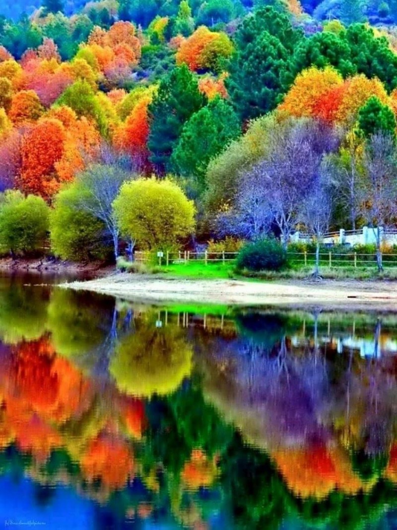 002e790ea819454c3b0fd35520b77989