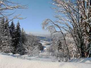 neige(